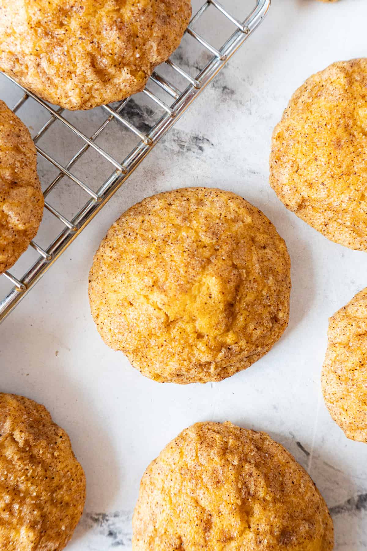 close up of fall cookies