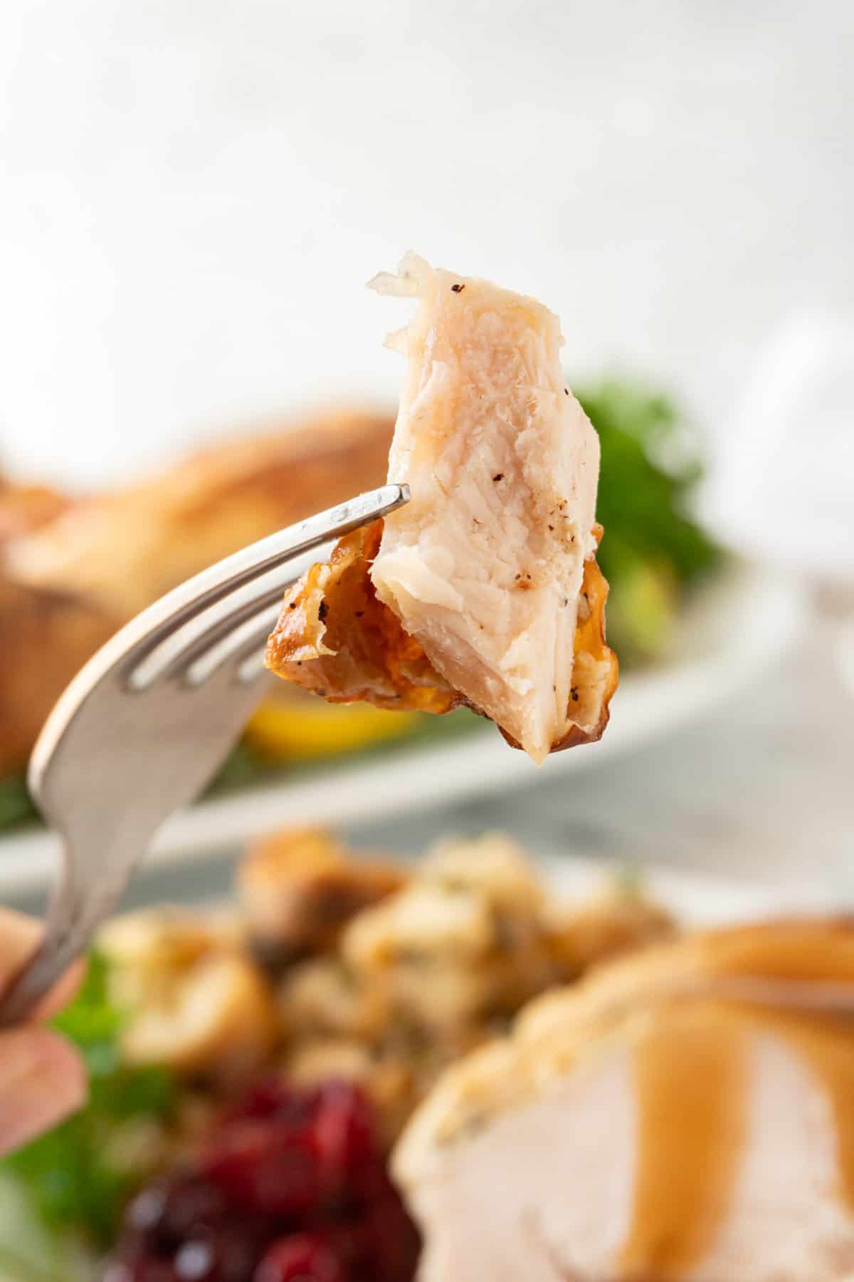 piece of turkey on fork