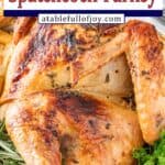 spatchcock turkey pinterest pin
