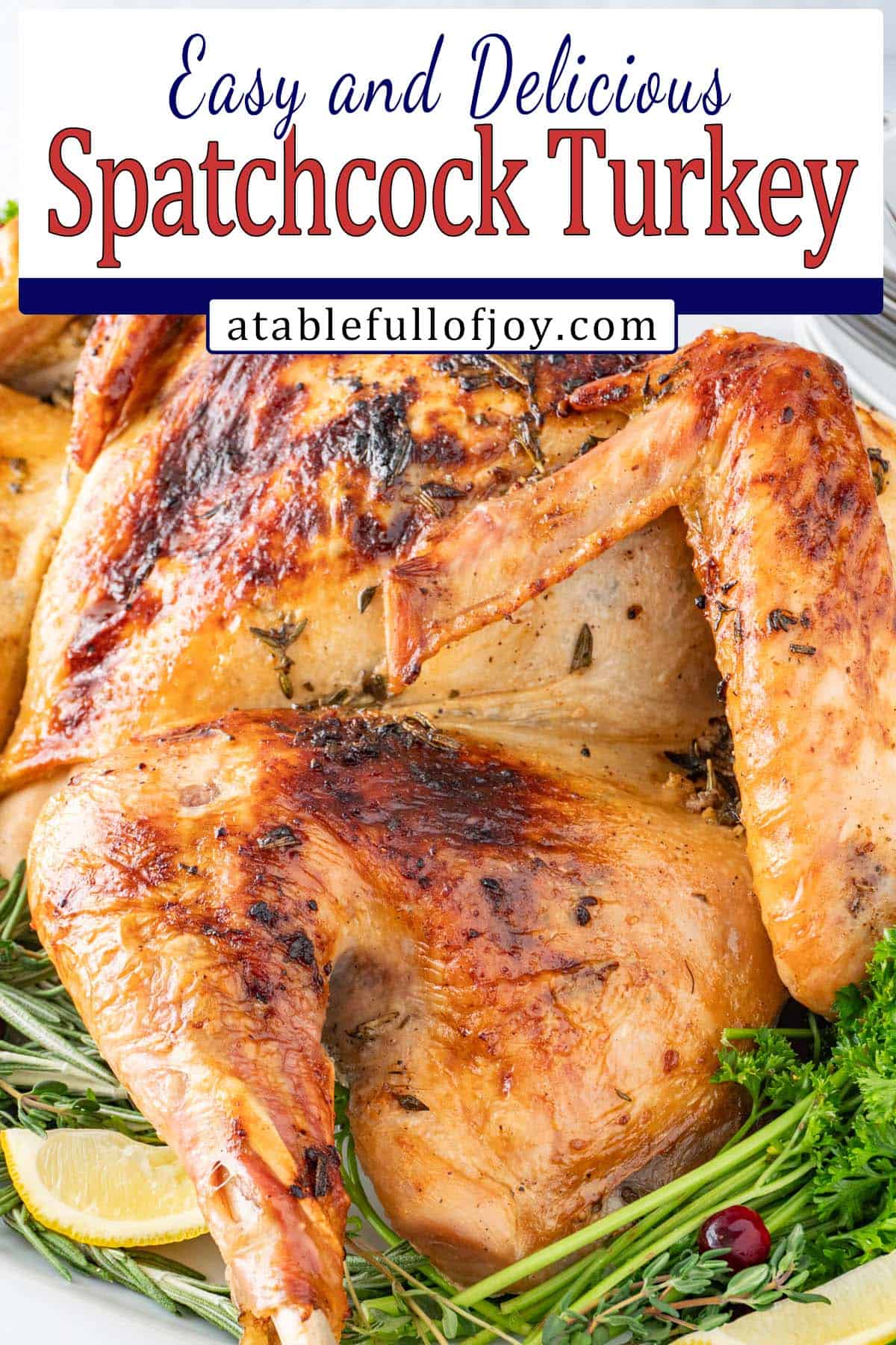 spatchcock turkey pinterest pin