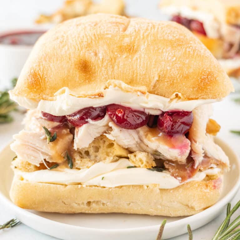 The BEST Turkey Cranberry Sandwich