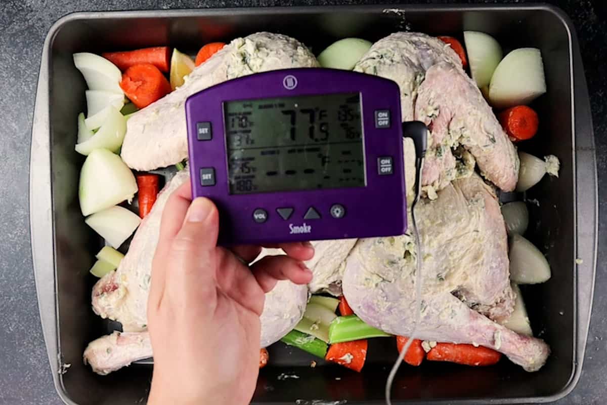 thermometer interface used for cooking turkey
