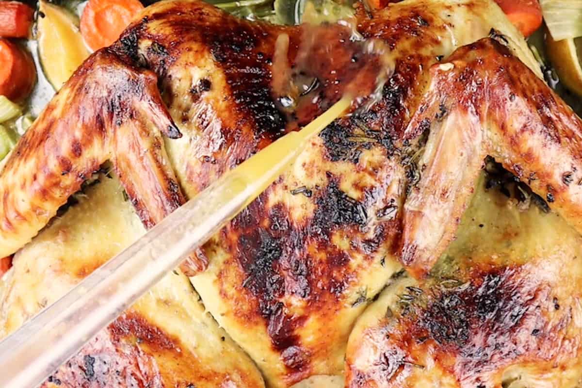 basting turkey with juices