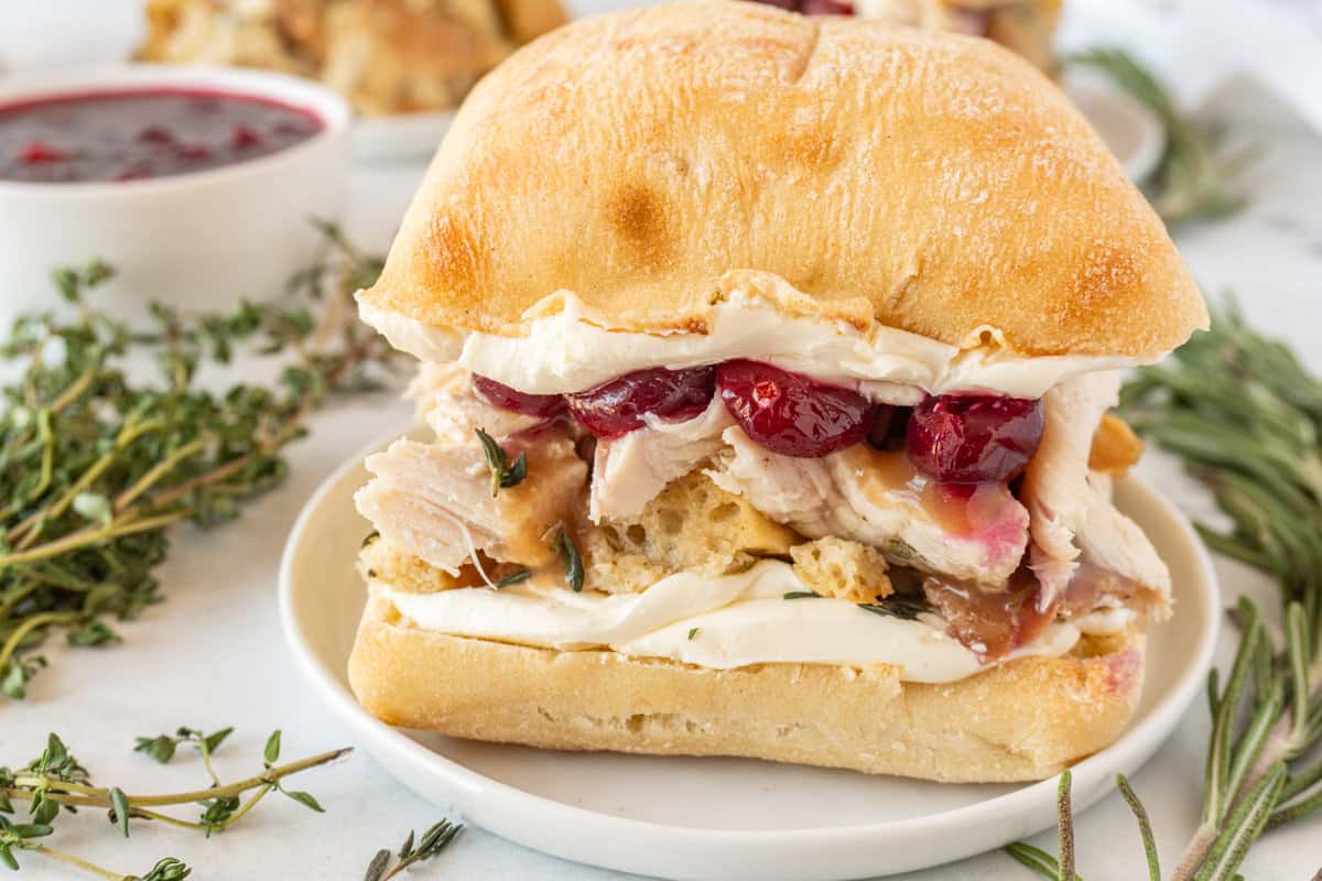 Turkey Cranberry Sandwich on plate