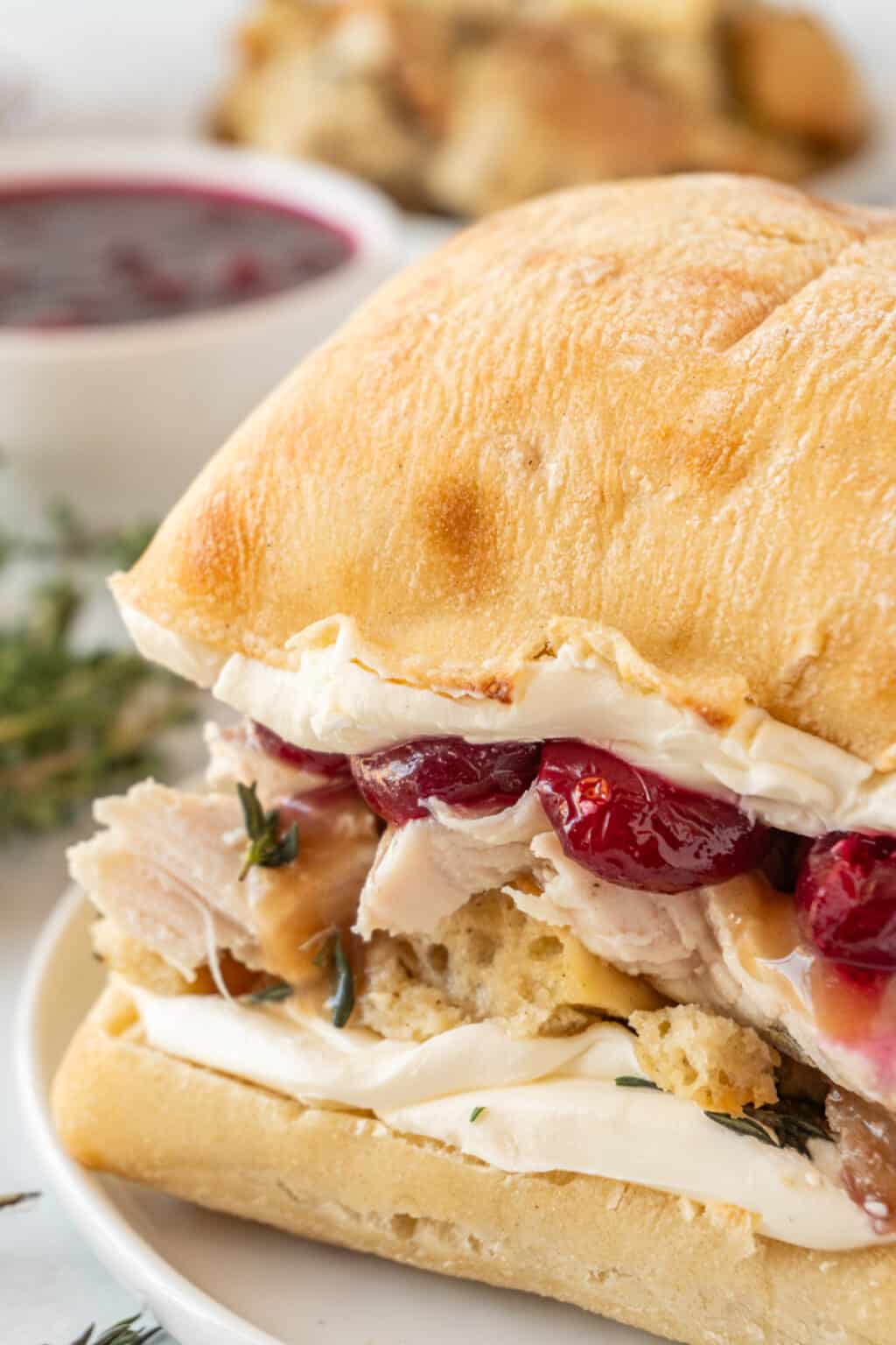 The BEST Turkey Cranberry Sandwich