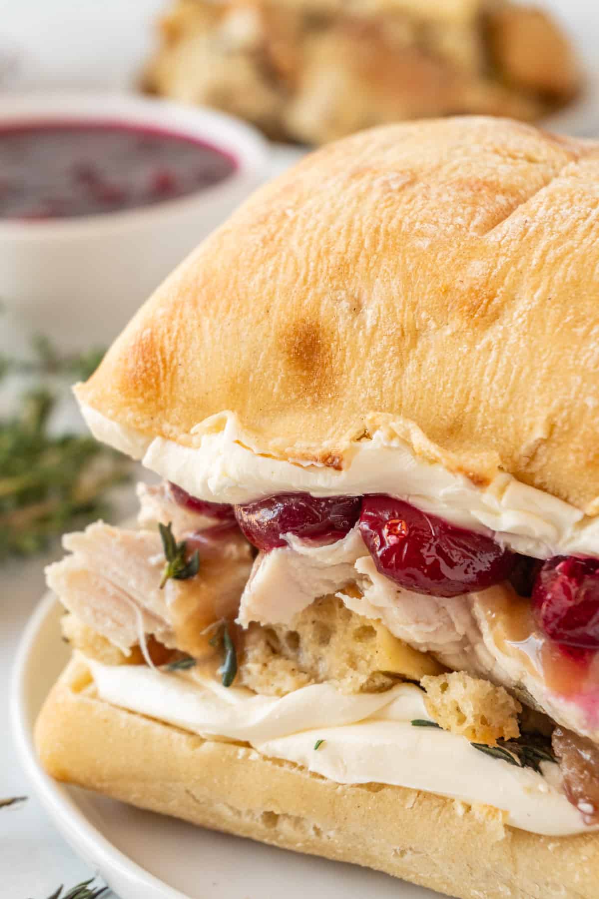 Turkey Cranberry Sandwich close up