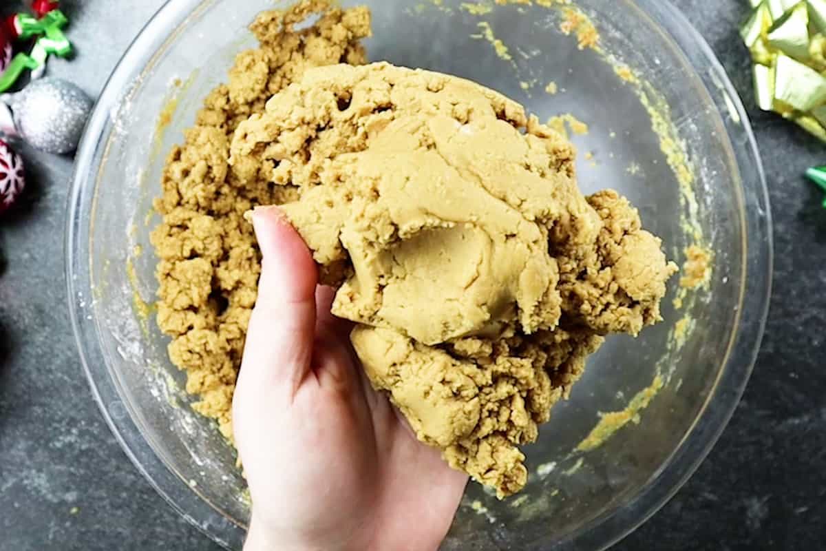 dough fully mixed