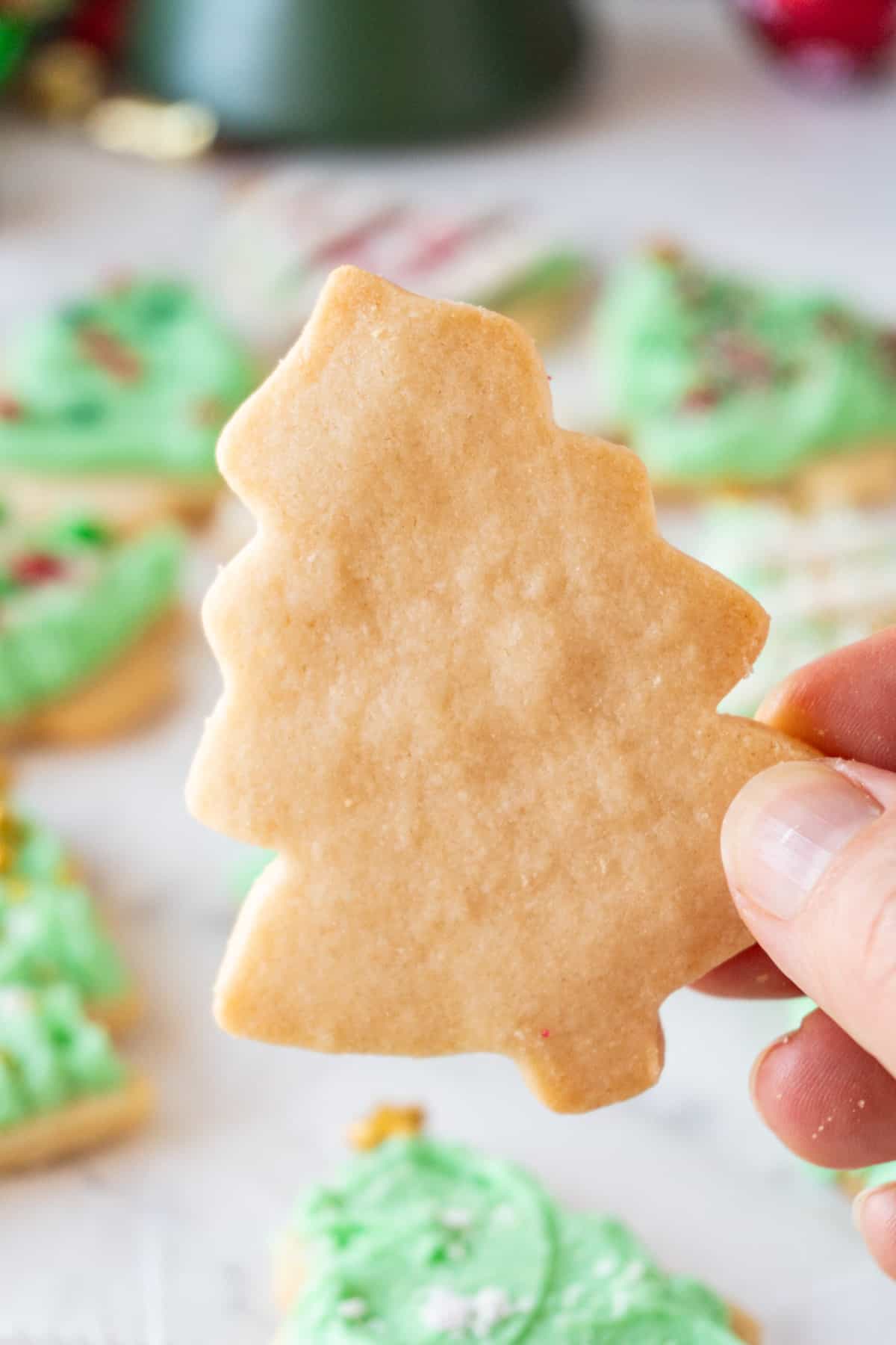 unfrosted Christmas Tree Cookie