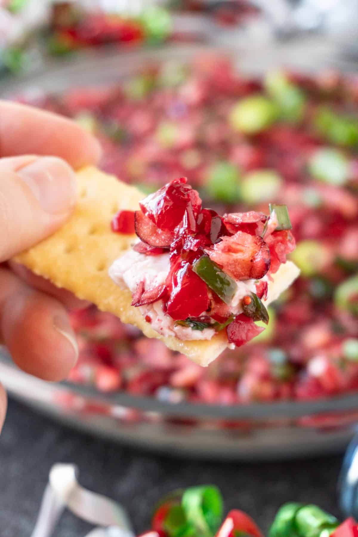 dip on a cracker