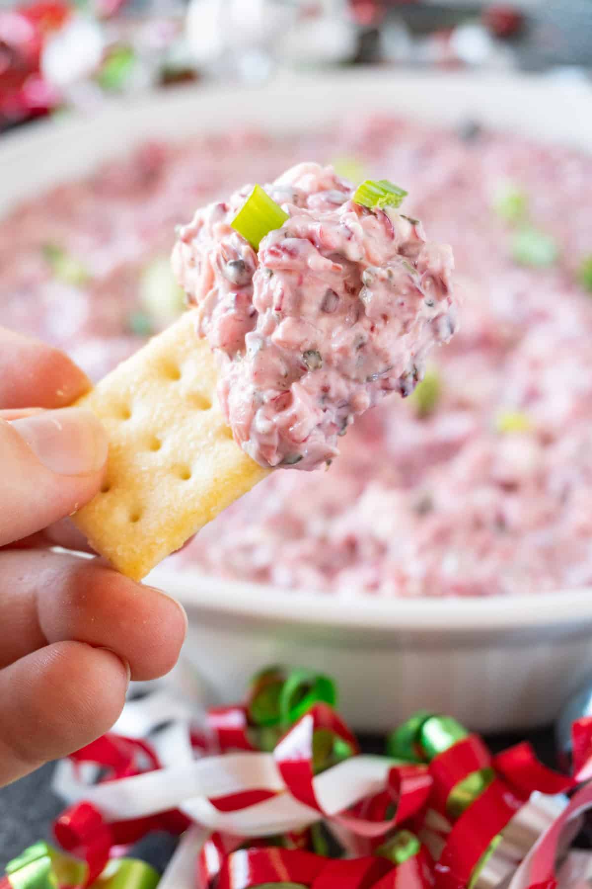 blended dip on a cracker