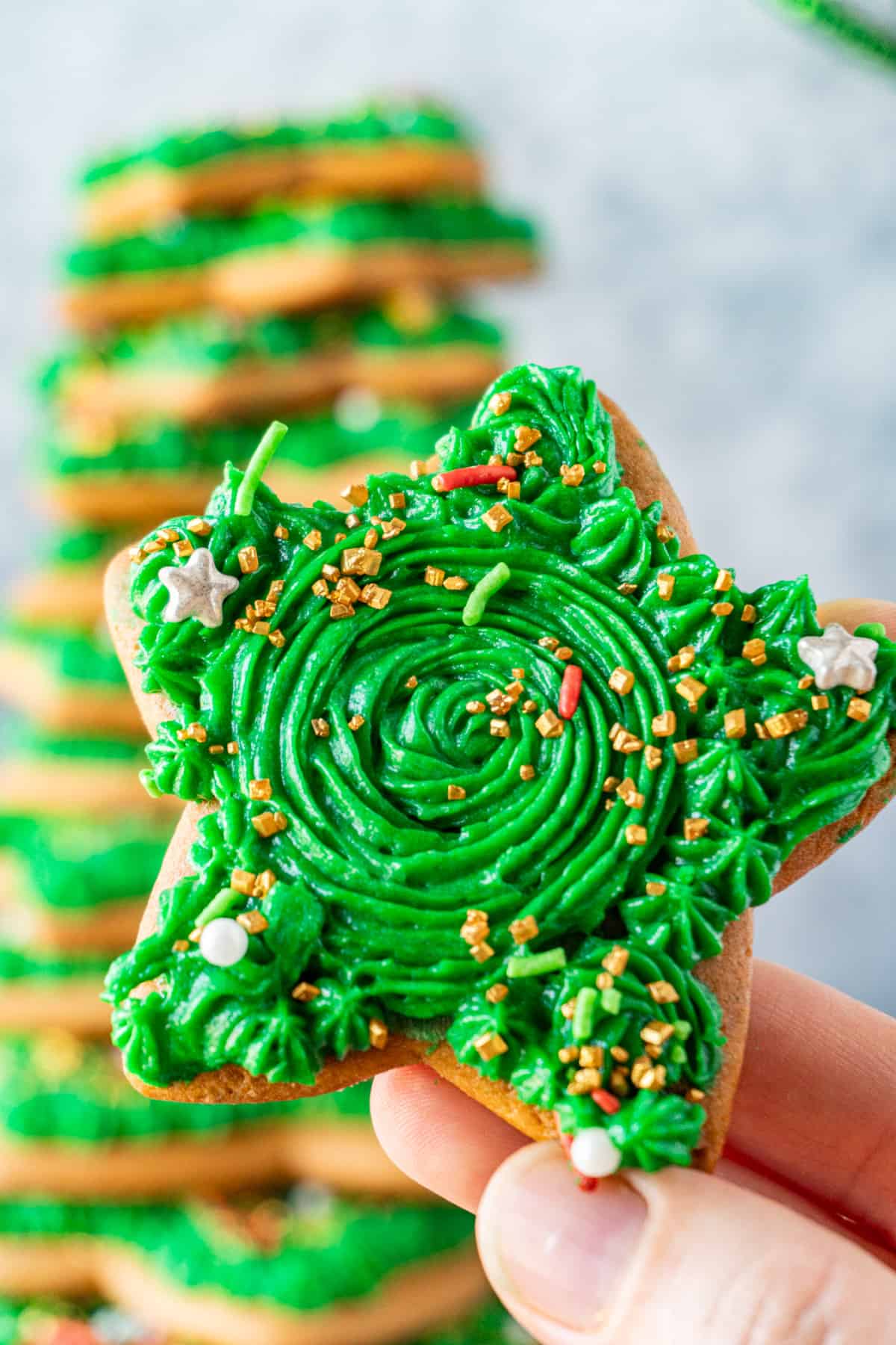 Holding a star cookie in hand