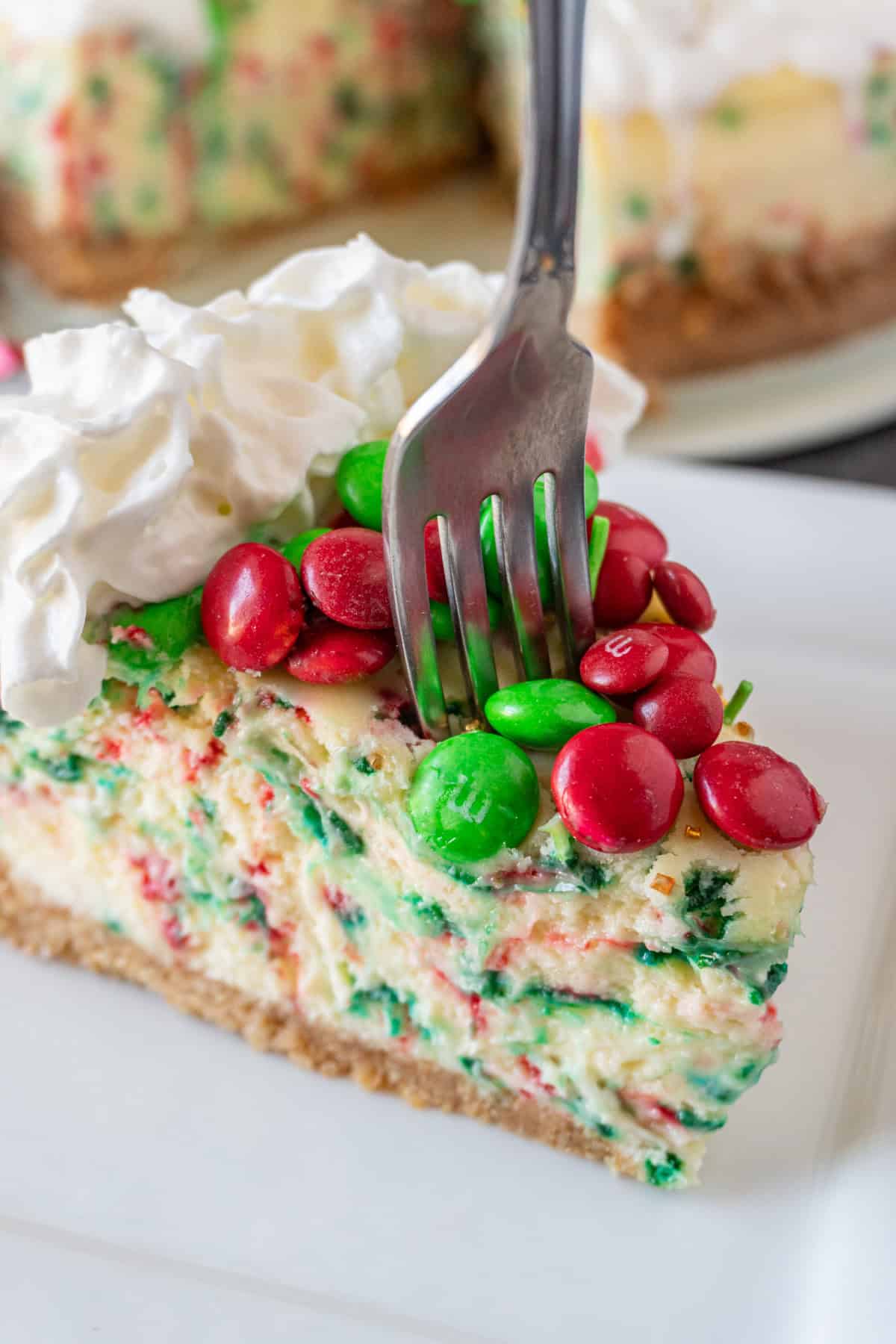 form in slice of cheescake