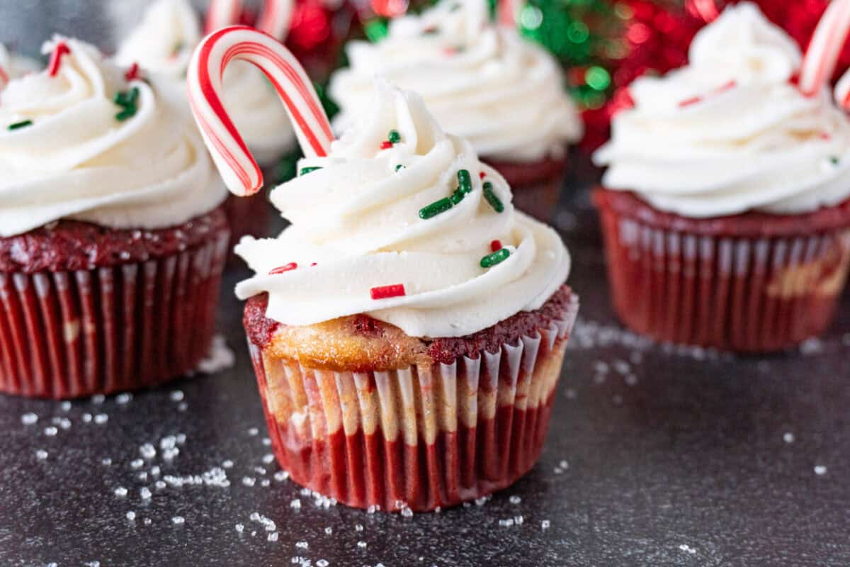 Candy cane cupcakes with peppermint frosting, a candy cane stuck in the frosting, and red and green sprinkles on top. Christmas decorations in background.